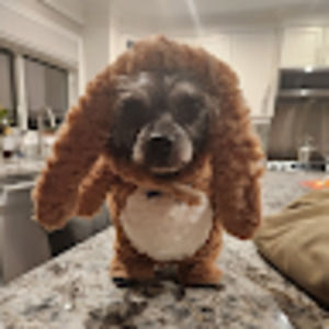 Meet your Posher, Lynne